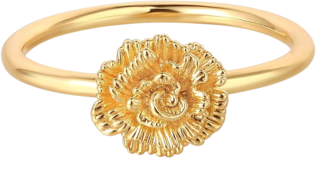 Minimalist Stackable Ring